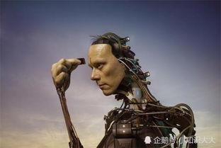 半机械人电影在线观看